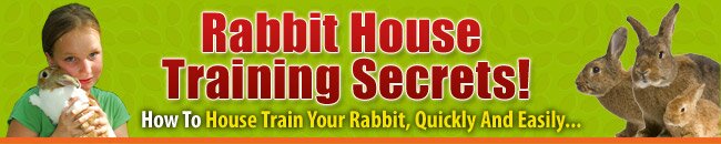 House Rabbit Training Secrets...
