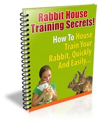 Rapid Rabbit House Training Handbook